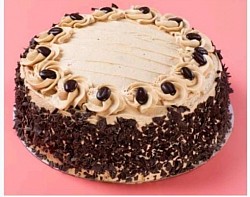 Choco Mocha Cake